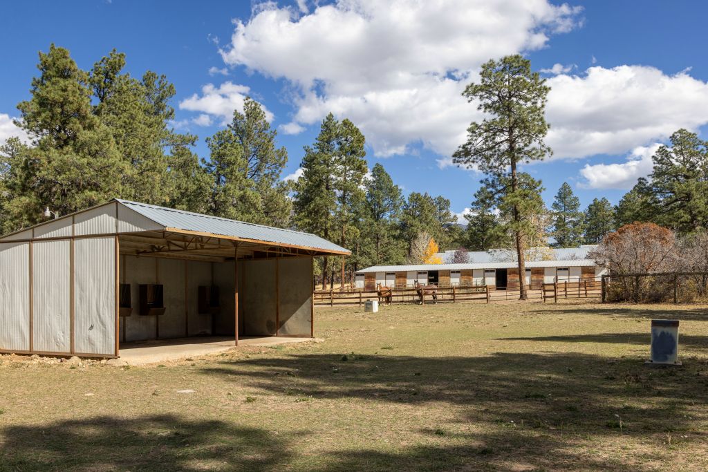 Loafing sheds and watering units.